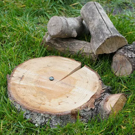 BCB Button Compass - Compasses - 467100 - 2