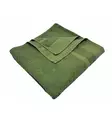 Dutch Terry Towel, Light Green, Surplus - Travel Towels - 611522 - 1