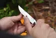 Opinel 12 Carbon Folding Knife - Knives - 91884654 - 2